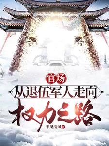 权力巅峰之红颜仕途