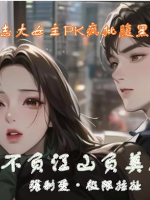 不负江山不负卿小说免费